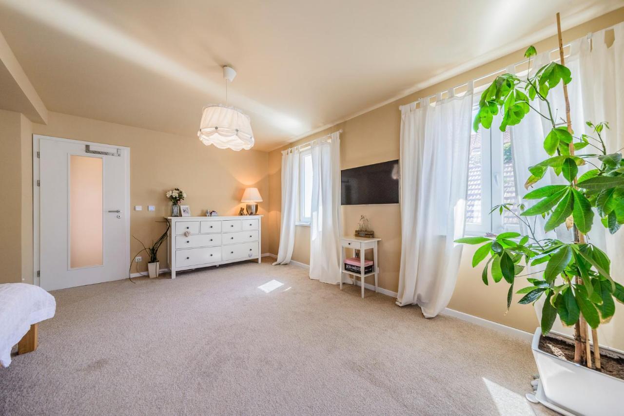 Mikulov Apartmany Magistr Εξωτερικό φωτογραφία
